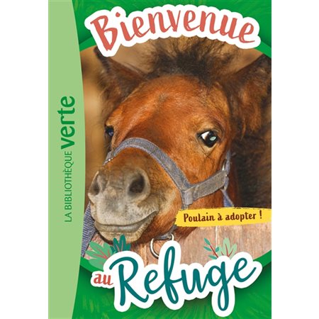 Bienvenue au refuge #3 Poulain à adopter !