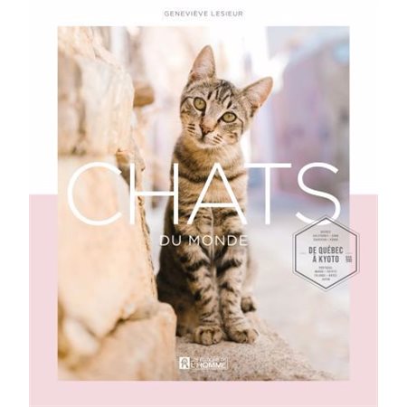 Chats du monde