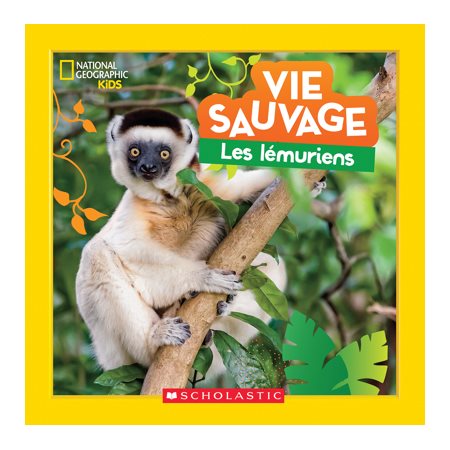 Vie sauvage les lémuriens