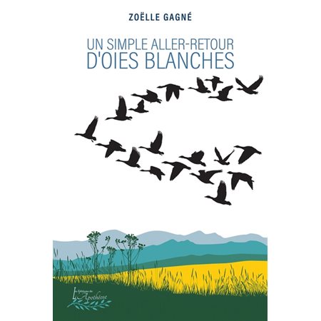 Un simple aller-retour d'oies blanches