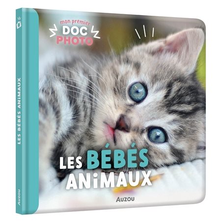 Les bébés animaux