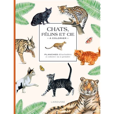 Chats, félins et cie à colorier