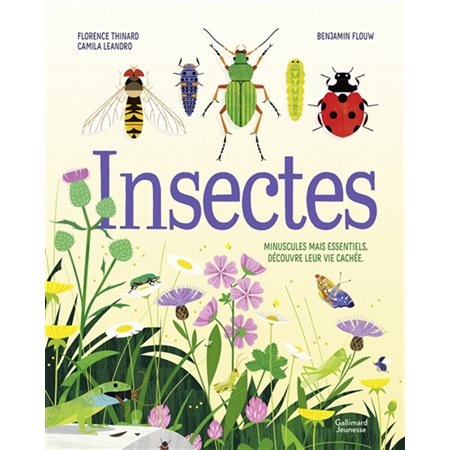 Insectes