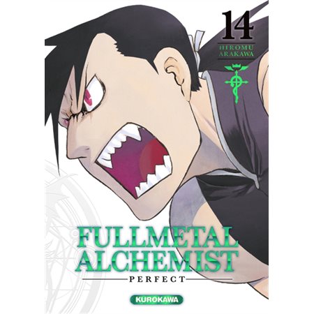 Fullmetal alchemist perfect #14