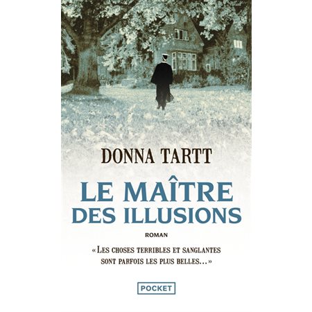 Le maître des illusions