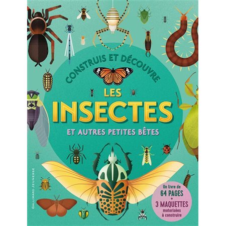 Construis et découvre les insectes et autres petites bêtes