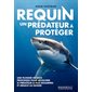 Requin, un prédateur à protéger