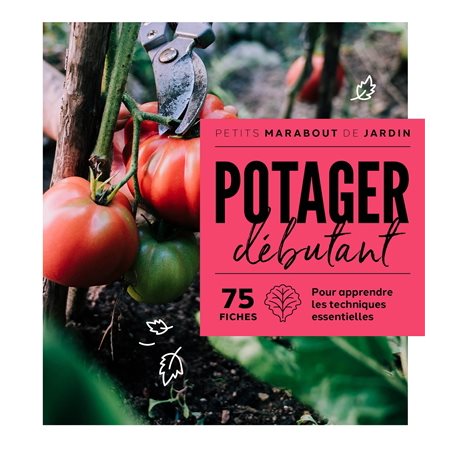 Potager débutant