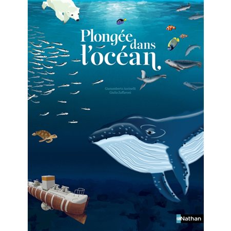 Plongée dans l'océan