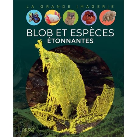 Blob et espèces étonnantes