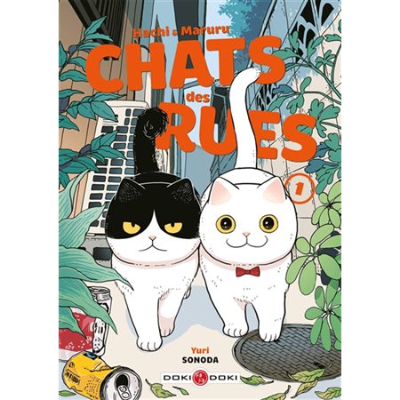 Hachi & Maruru #1 Chats des rues