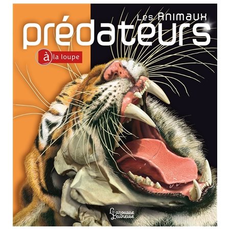 Les animaux prédateurs à la loupe