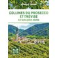 Collines du Prosecco et Trévise en quelques jours