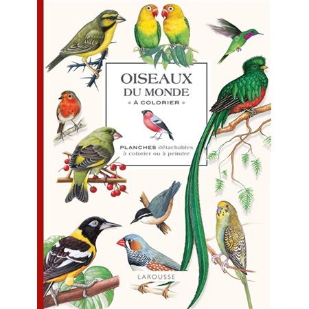 Oiseaux du monde à colorier