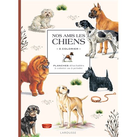 Nos amis les chiens à colorier