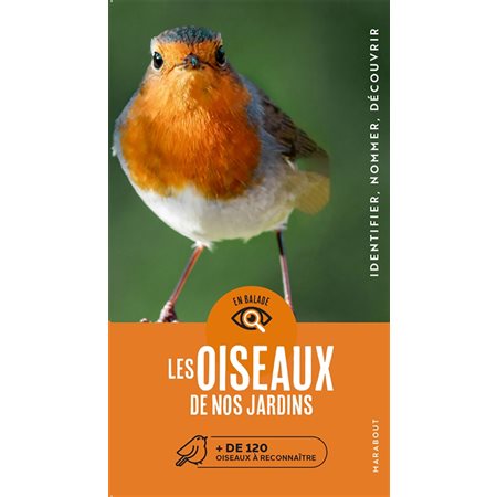 oiseaux de nos jardins