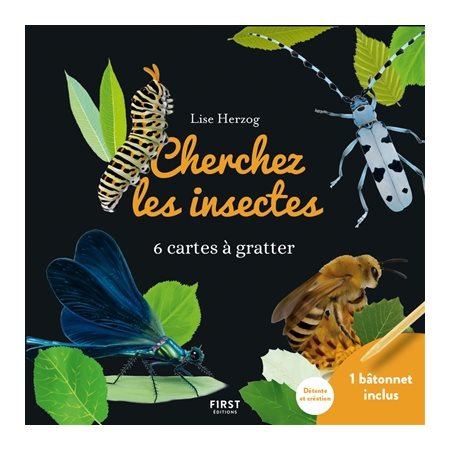 Cherchez les insectes