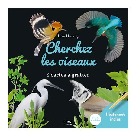 Cherchez les oiseaux