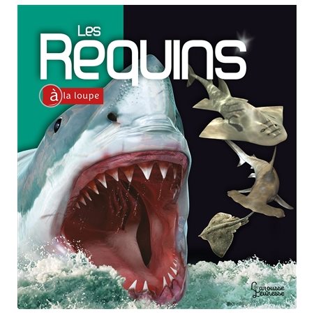 Les requins