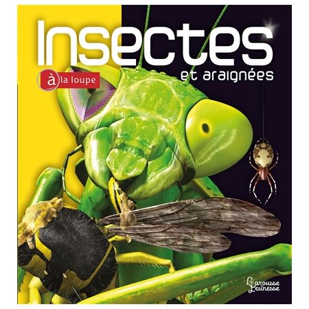 Insectes et araignées