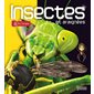 Insectes et araignées