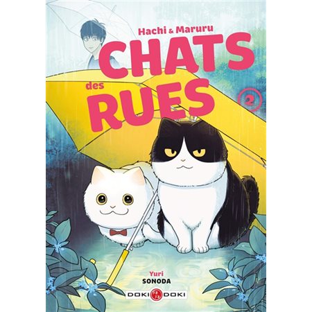 Hachi & Maruru #2  Chats des rues