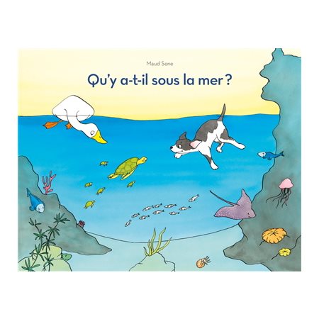 Qu'y a-t-il sous la mer