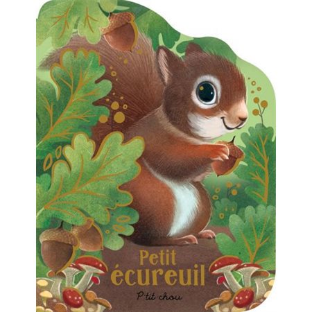 Petit écureuil