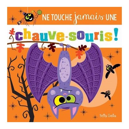 Ne touche jamais une chauvre-souris!