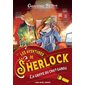 Les aventures de Sherlock, La griffe du chat-garou