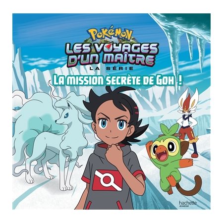 Pokémon, Les voyages d'un maître, la série La mission secrète de Goh !