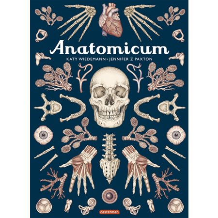 Anatomicum