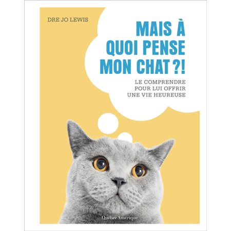 Mais à quoi pense mon chat?!