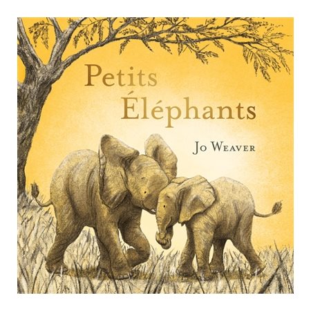 Petits éléphants