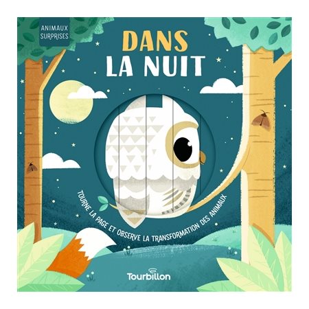 Dans la nuit