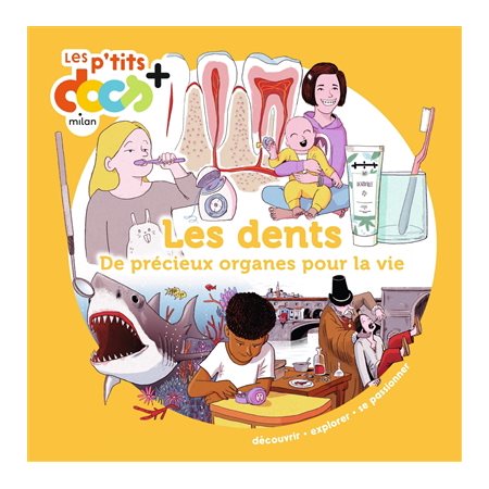 Les dents : de précieux organes pour la vie