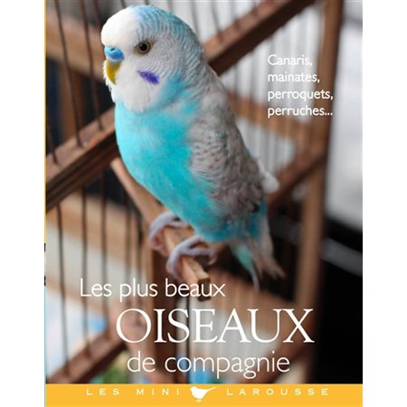 Les plus beaux oiseaux de compagnie : canaris, mainates, perroquets, perruches