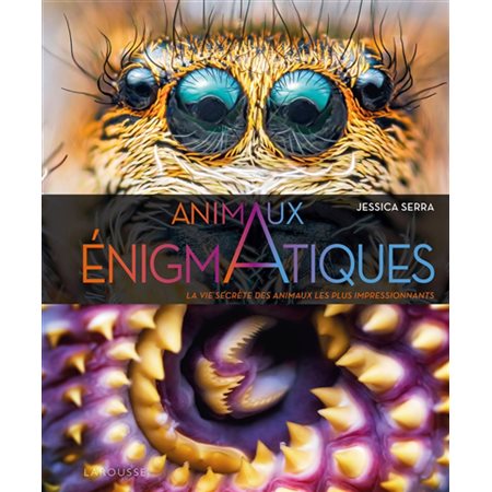 Animaux énigmatiques