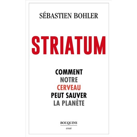 Striatum