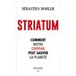 Striatum