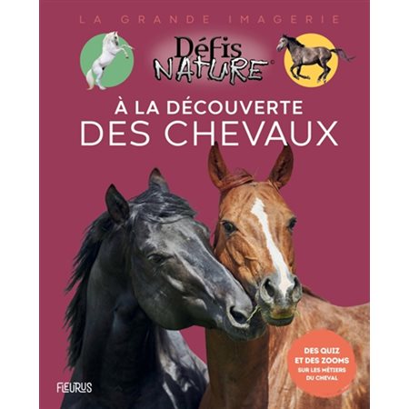 À la découverte des chevaux