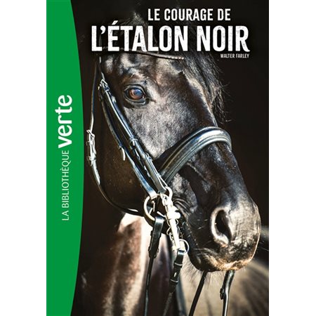 Le courage de l'étalon noir #13