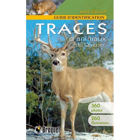 Traces d'animaux du Québec