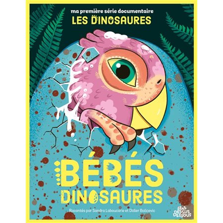 Les dinosaures- Bébés dinosaures