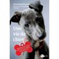 Une vie de chiot