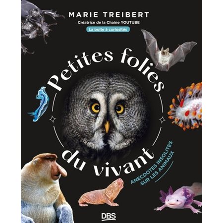 Petites folies du vivant : anecdotes insolites sur les animaux