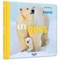 Les ours