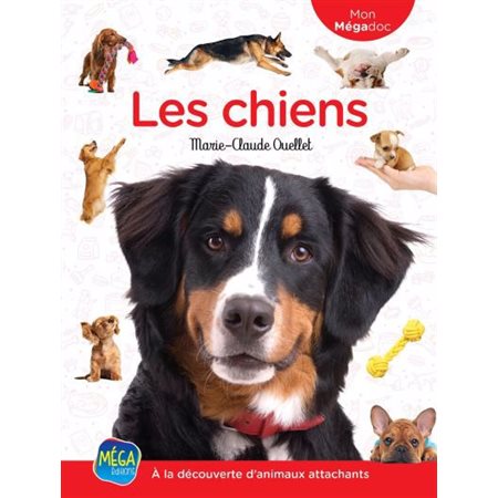 Les chiens