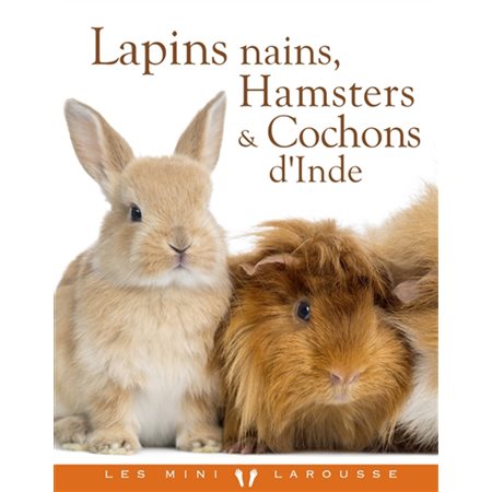 Lapins nains, hamsters & cochons d'Inde