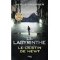 Le labyrinthe : le destin de Newt